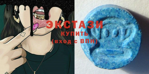 ECSTASY Гусь-Хрустальный
