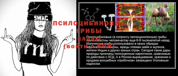 скорость Гусев