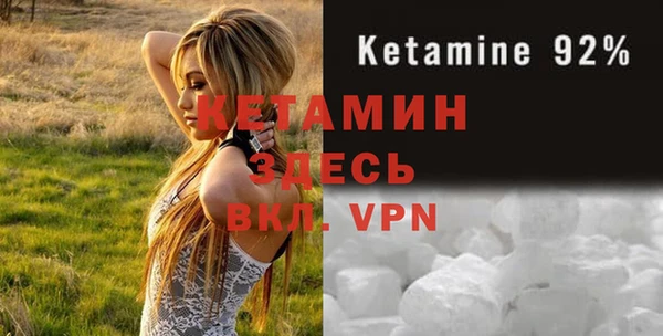 ECSTASY Гусь-Хрустальный