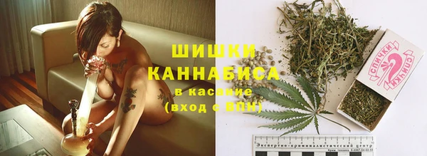 скорость Гусев