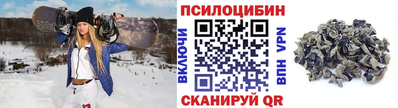 Галлюциногенные грибы Magic Shrooms  Купить где  Димитровград 